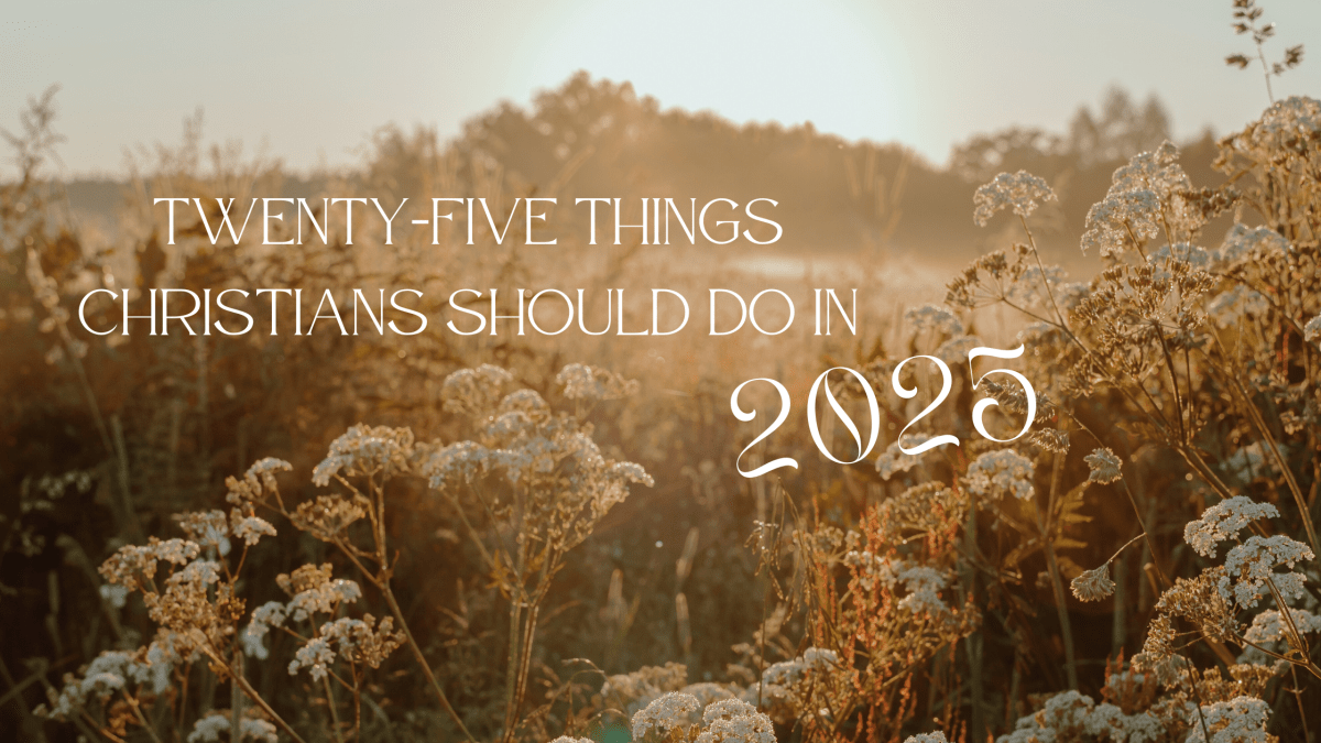 TWENTY-FIVE THINGS CHRISTIANS SHOULD DO IN&nbsp;2025