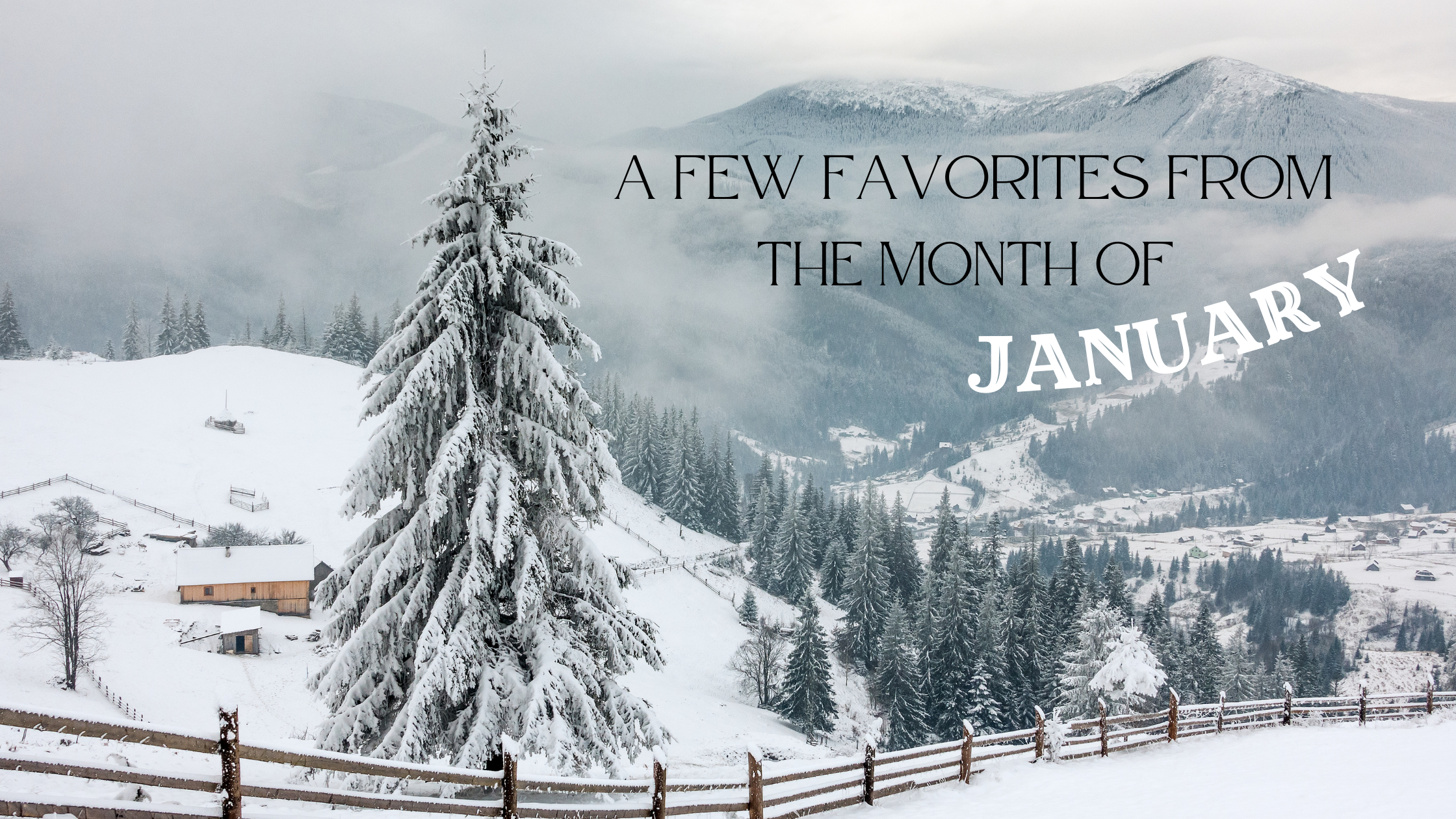 A FEW FAVORITES FROM THE MONTH OF JANUARY 2025 – The Few