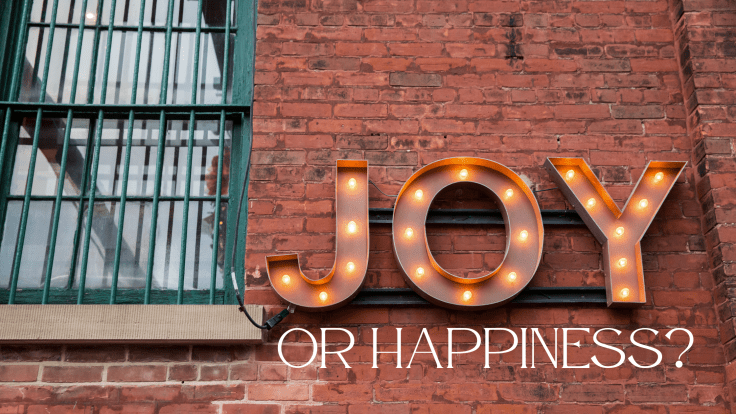 JOY OR HAPPINESS? (BLOGMAS DAY TWENTY-SIX&nbsp;2025)